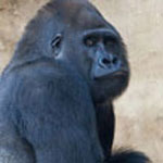 Zoobesuch in Hannover